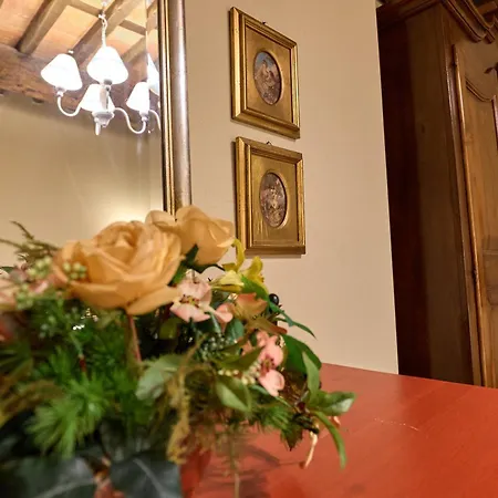 Casa Dolce Casa Daire Lucca